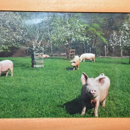 Griena Naturchalets **** Domek alpejski