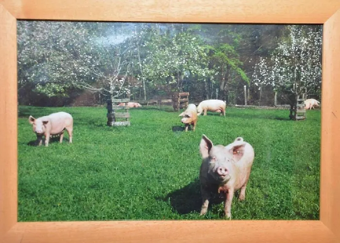 Griena Naturchalets **** Chalet